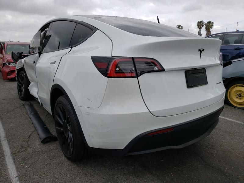 2020 Tesla Model Y