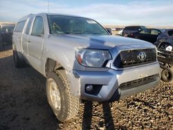 Toyota salvage cars for sale: 2013 Toyota Tacoma