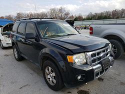 Salvage cars for sale at Columbia, MO auction: 2011 Ford Escape Limited