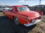 1955 Ford Thunderbird