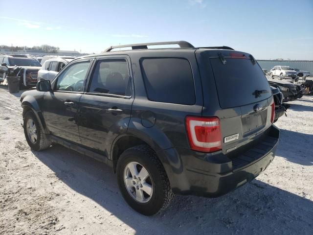 2009 Ford Escape XLT