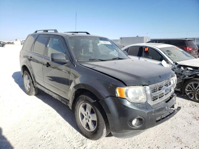 2009 Ford Escape XLT