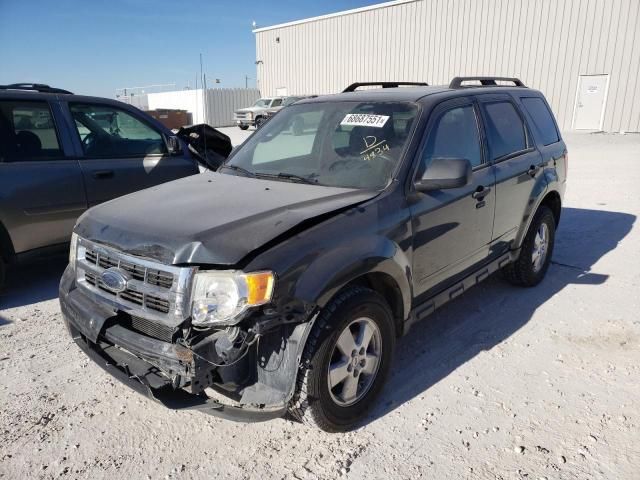 2009 Ford Escape XLT