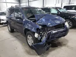 Salvage cars for sale at Ham Lake, MN auction: 2004 Ford Escape Limited