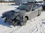 2003 Ford Mustang GT