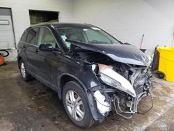 Salvage cars for sale at Chicago Heights, IL auction: 2010 Honda CR-V EXL