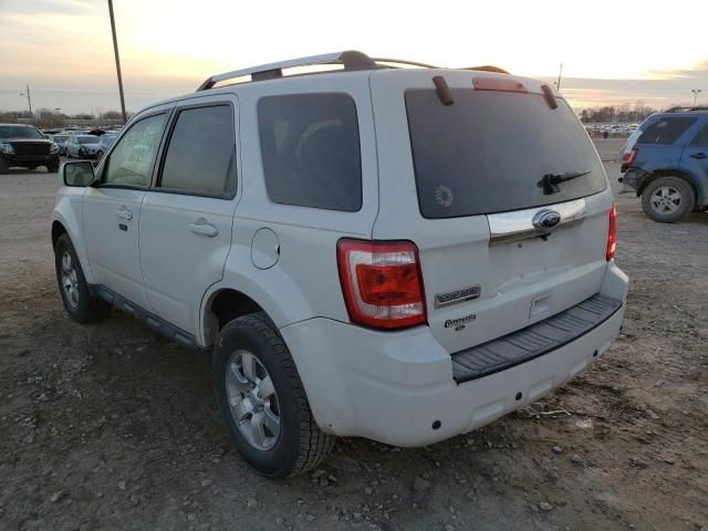 2010 Ford Escape Limited