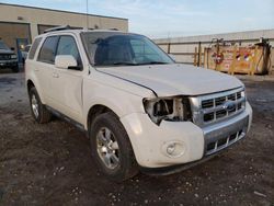 Vehiculos salvage en venta de Copart Indianapolis, IN: 2010 Ford Escape Limited