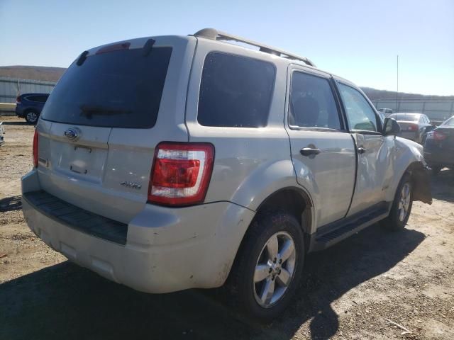 2008 Ford Escape XLT