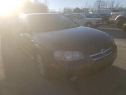 Nissan salvage cars for sale: 2002 Nissan Maxima GLE