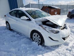 Salvage cars for sale at Elmsdale, NS auction: 2016 Hyundai Elantra SE