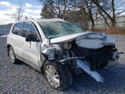 Salvage cars for sale from Copart Albany, NY: 2013 Volkswagen Tiguan S