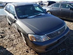 Toyota Vehiculos salvage en venta: 2004 Toyota Avalon XL