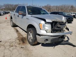 Ford salvage cars for sale: 2013 Ford F150 Supercrew