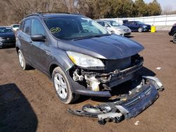 Vehiculos salvage en venta de Copart London, ON: 2013 Ford Escape SE