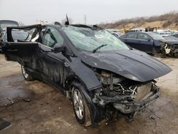 Salvage cars for sale at Chicago Heights, IL auction: 2013 Ford Escape SE