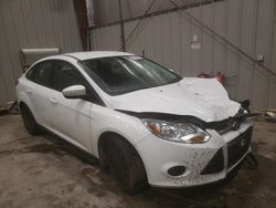 Ford Focus SE salvage cars for sale: 2013 Ford Focus SE