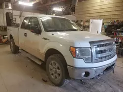 Salvage trucks for sale at Rapid City, SD auction: 2013 Ford F150 Super Cab