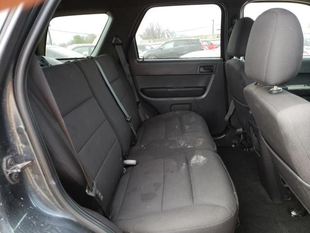 2008 Ford Escape XLT