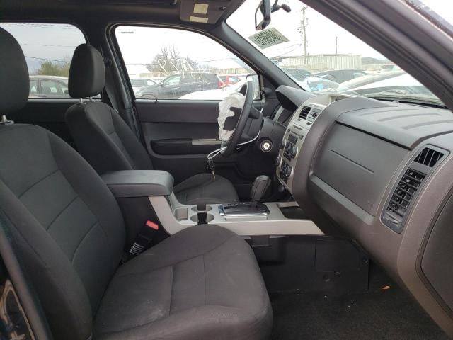 2008 Ford Escape XLT