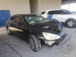 Salvage cars for sale at Homestead, FL auction: 2003 Honda Accord EX