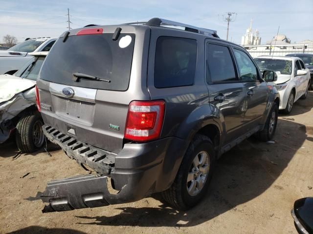 2010 Ford Escape Limited