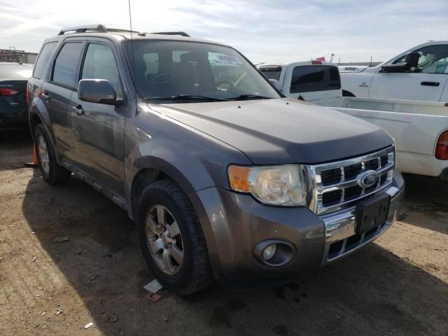 2010 Ford Escape Limited