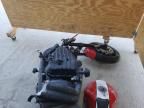 2011 Triumph 2011 Triumph Motorcycle Speed Triple SE