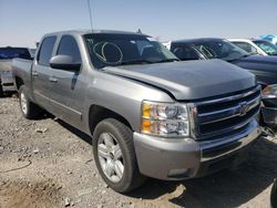 Salvage trucks for sale at Anthony, TX auction: 2008 Chevrolet Silverado C1500