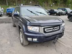 Honda Ridgeline rtl Vehiculos salvage en venta: 2011 Honda Ridgeline RTL