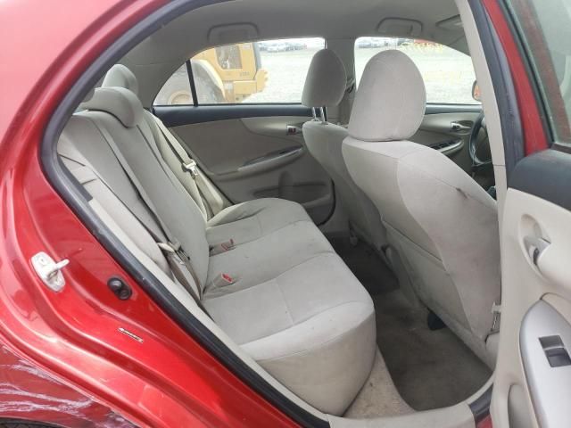 2011 Toyota Corolla Base