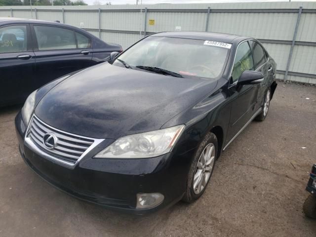 2011 Lexus ES 350