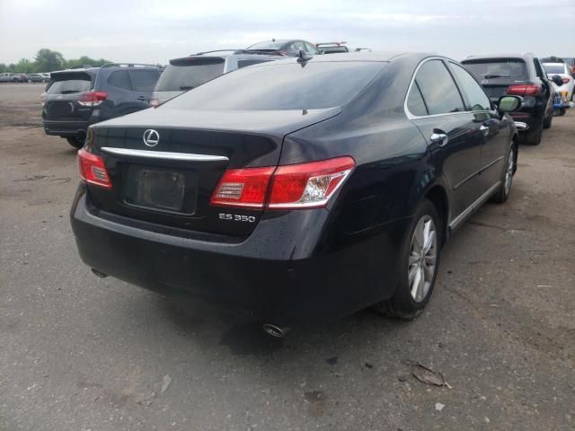 2011 Lexus ES 350