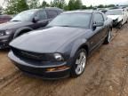 2007 Ford Mustang GT