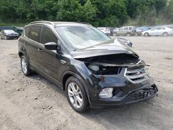 Salvage cars for sale at Marlboro, NY auction: 2017 Ford Escape SE