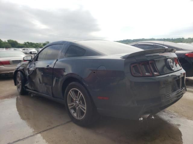 2013 Ford Mustang