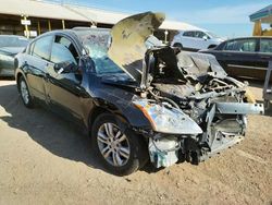 Salvage cars for sale at Phoenix, AZ auction: 2012 Nissan Altima Base