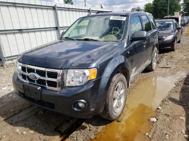 2008 Ford Escape XLT