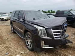 Salvage cars for sale at Bridgeton, MO auction: 2015 Cadillac Escalade Premium