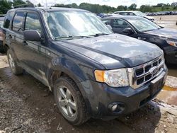 Salvage cars for sale from Copart Lansing, MI: 2008 Ford Escape XLT