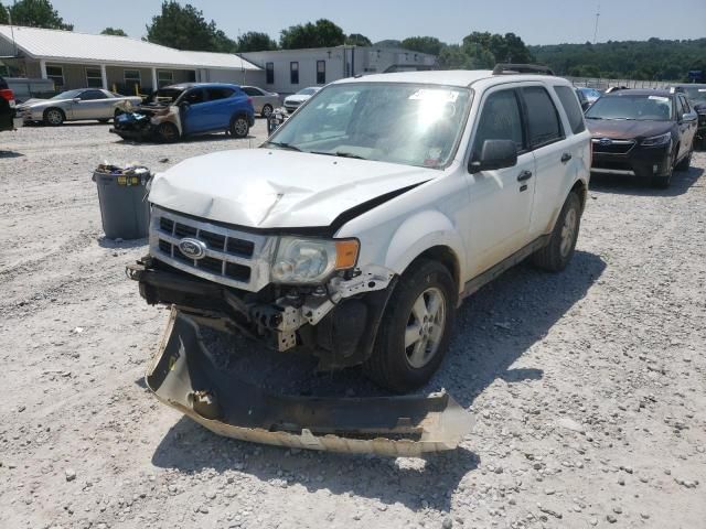 2011 Ford Escape XLT