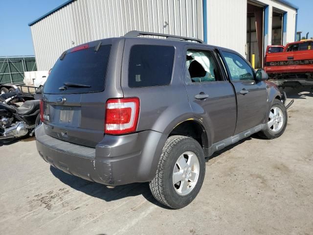 2011 Ford Escape XLT