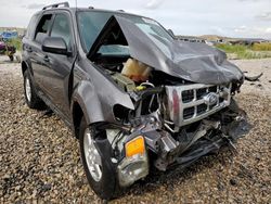 Ford Escape Vehiculos salvage en venta: 2012 Ford Escape XLT