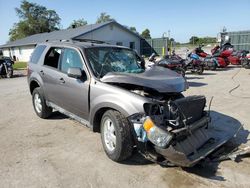 Salvage cars for sale at Sikeston, MO auction: 2011 Ford Escape XLT