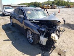 Salvage cars for sale at Jacksonville, FL auction: 2011 Nissan Maxima S