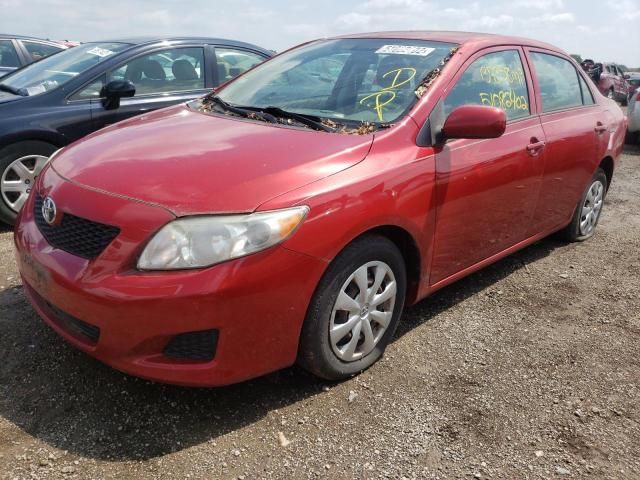 2009 Toyota Corolla Base