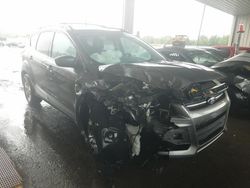 Vehiculos salvage en venta de Copart Fort Wayne, IN: 2014 Ford Escape SE
