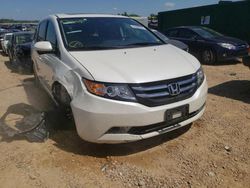 Salvage cars for sale at Bridgeton, MO auction: 2016 Honda Odyssey EXL