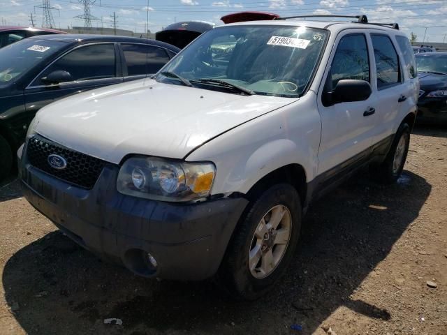 2006 Ford Escape XLT