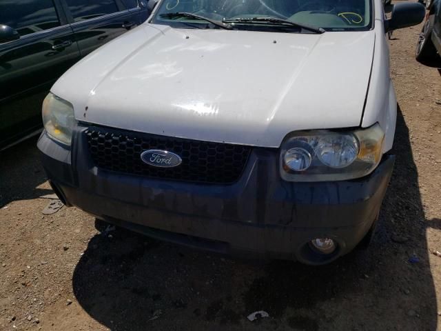 2006 Ford Escape XLT